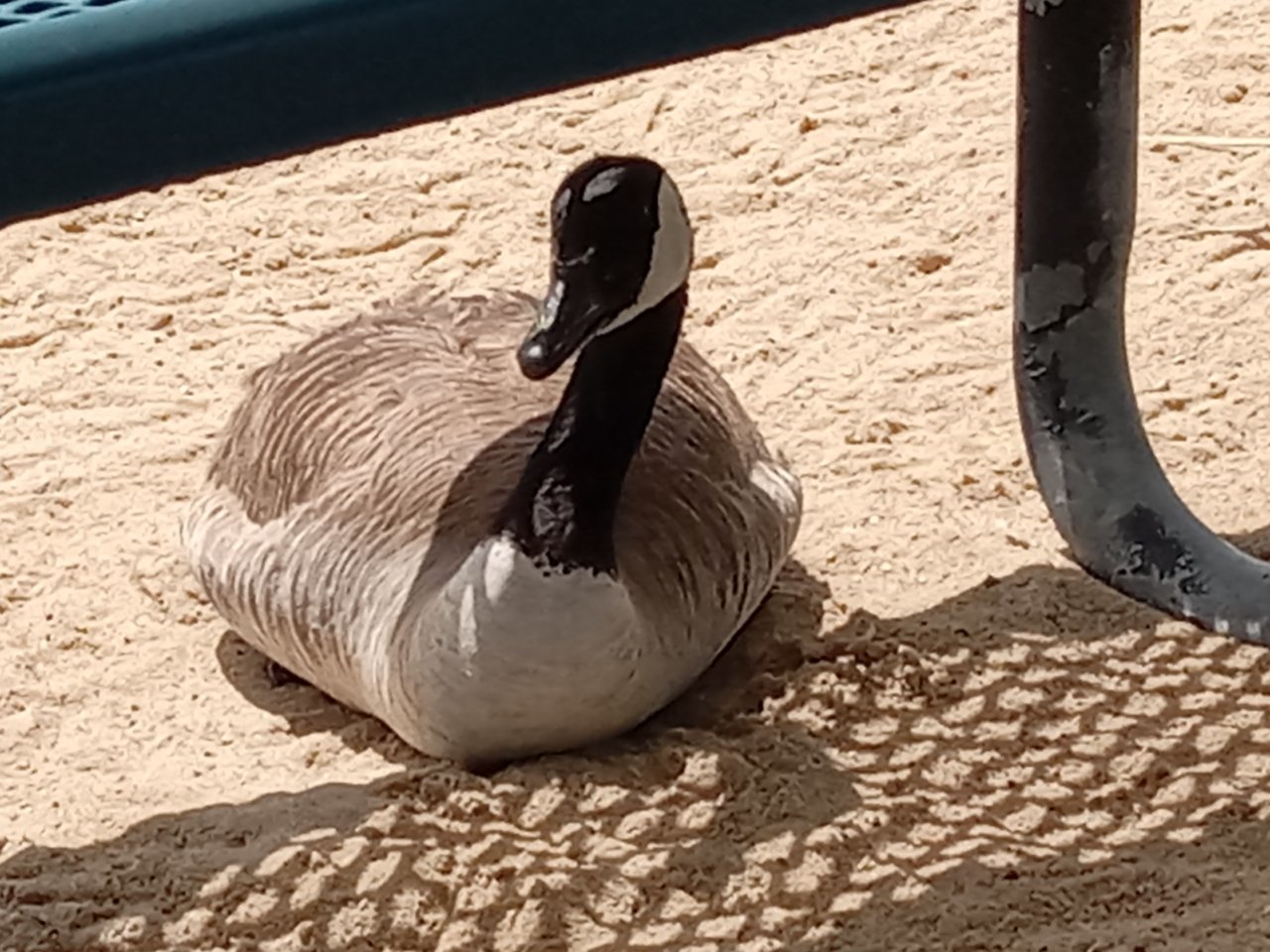 20220603_120745.jpg