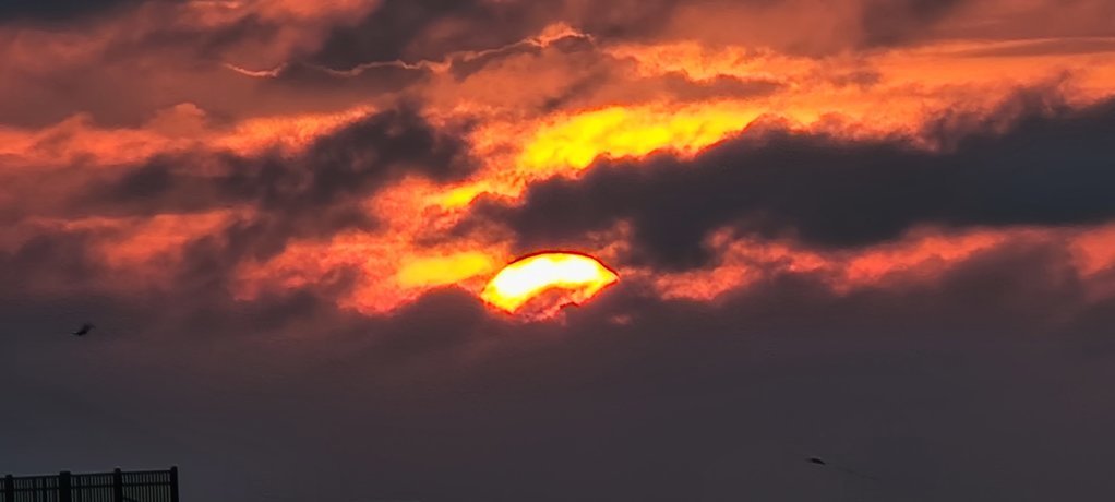 20220613_062650.jpg