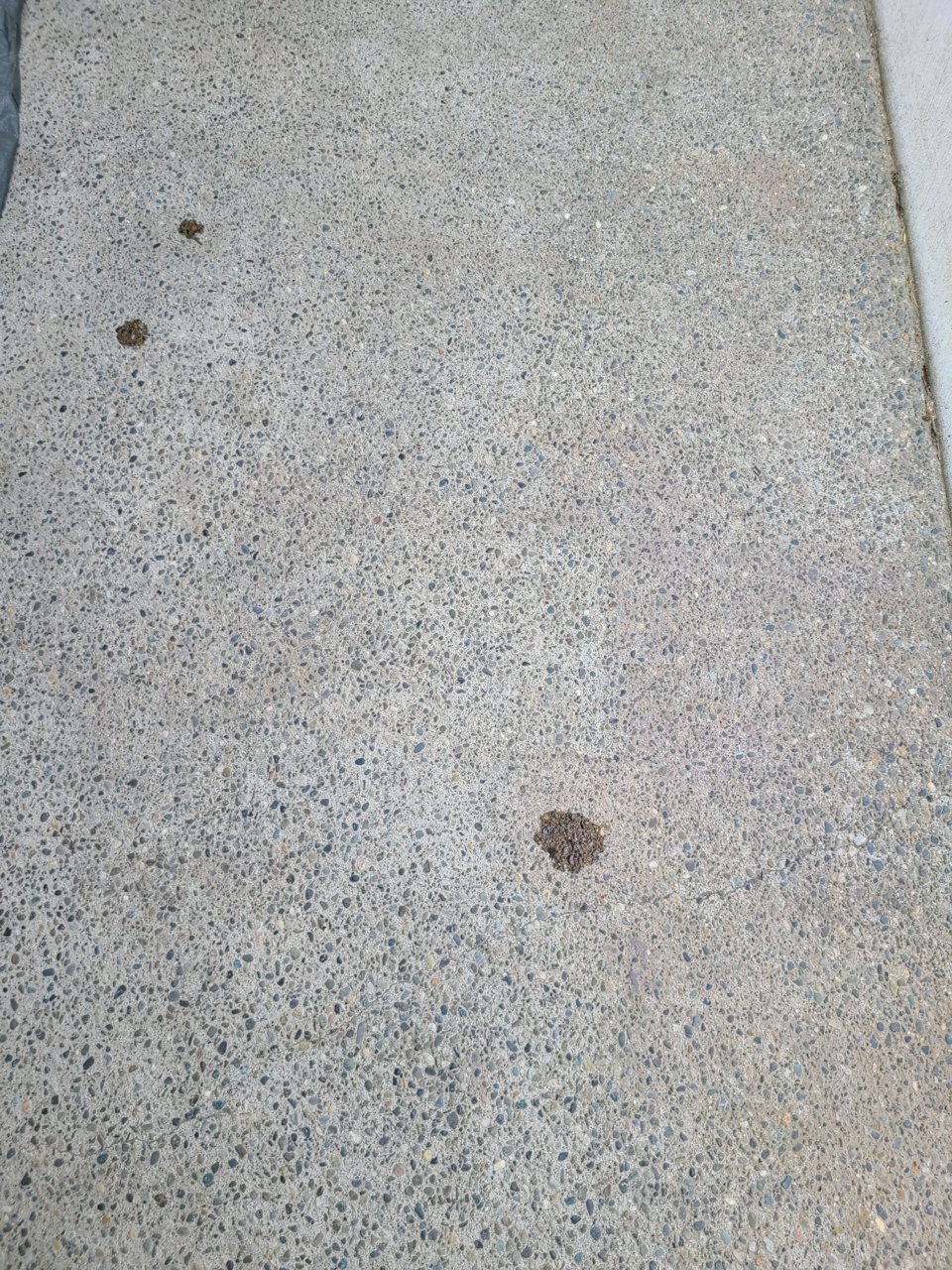 20220706_175820.jpg