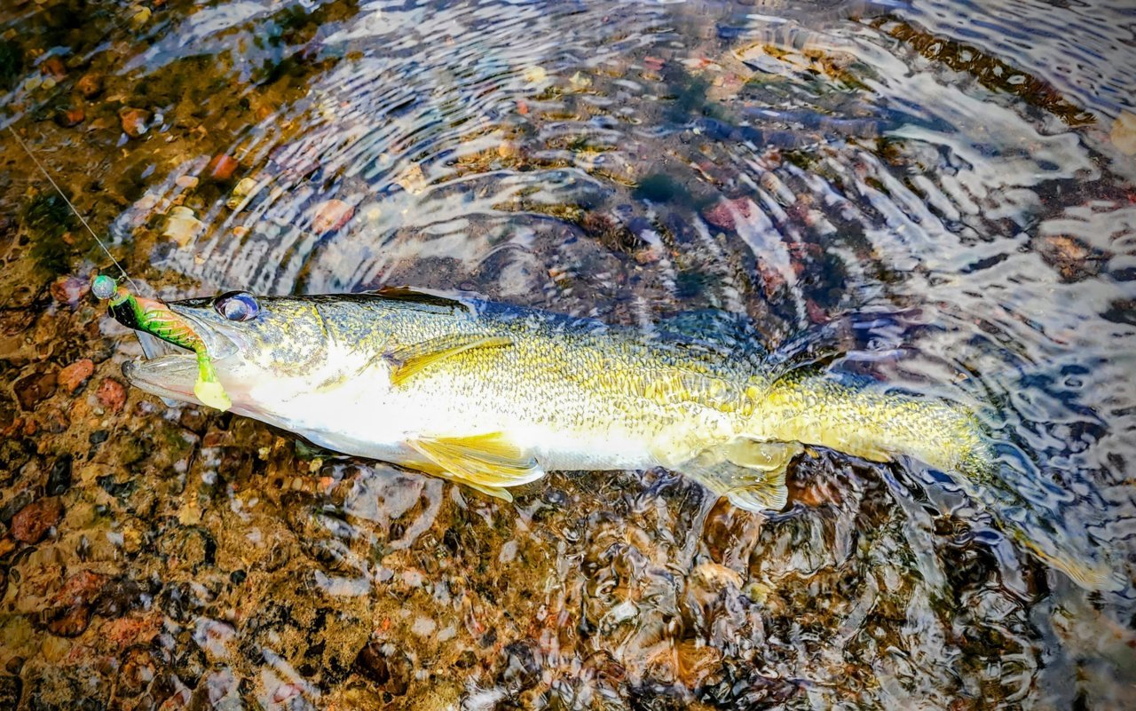 20220714_145133~2.jpg