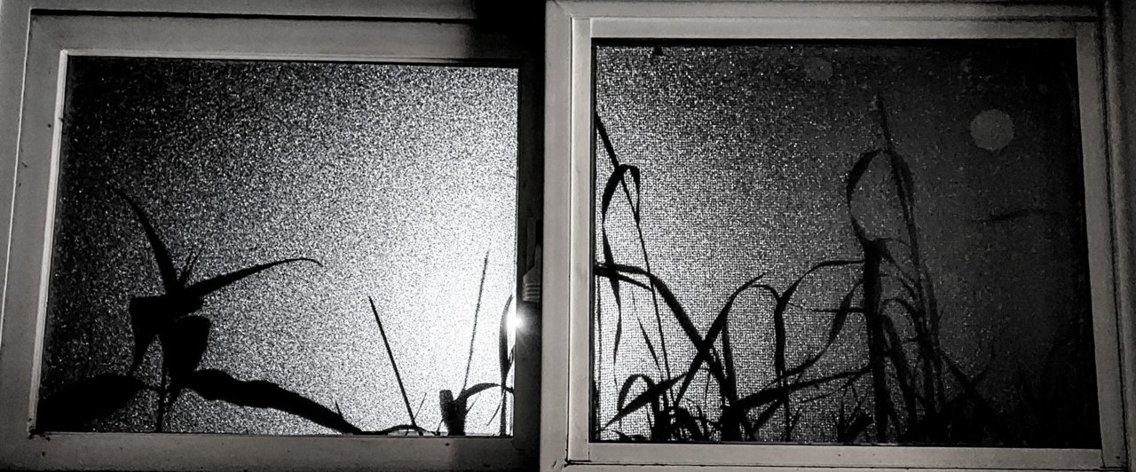 20220715_042309~2.jpg