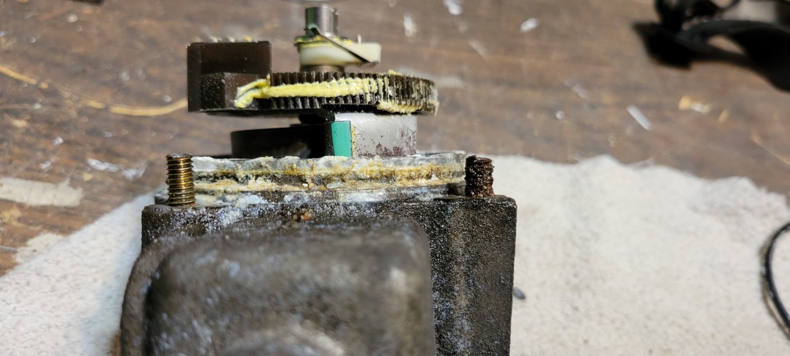 20220901_111323.jpg