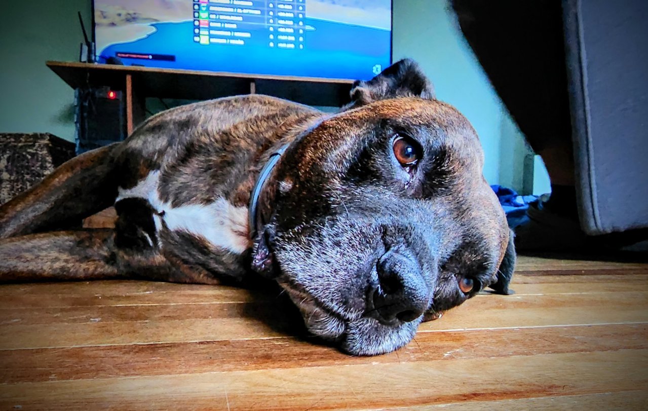 20220925_074442~2.jpg