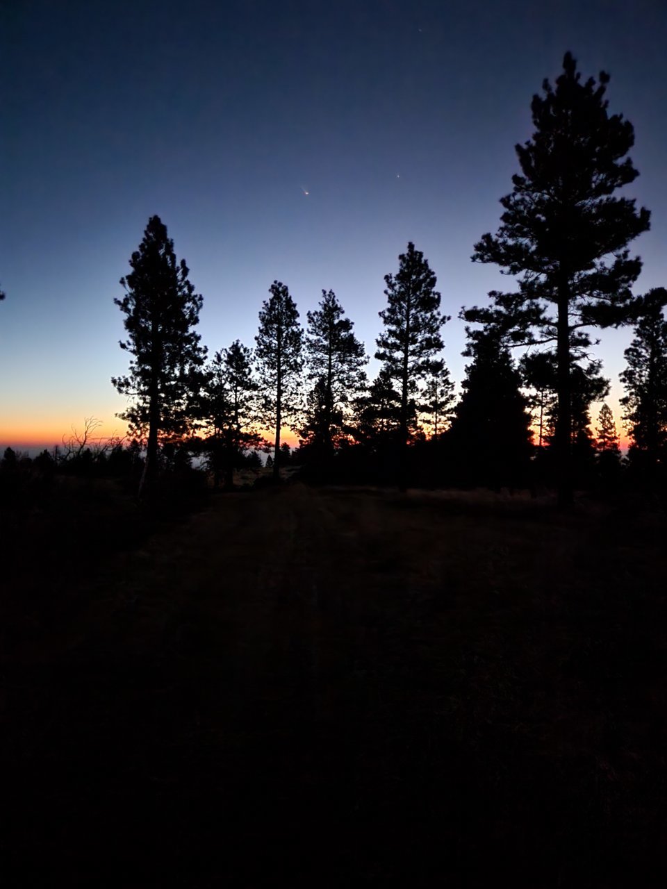 20221016_062736.jpg