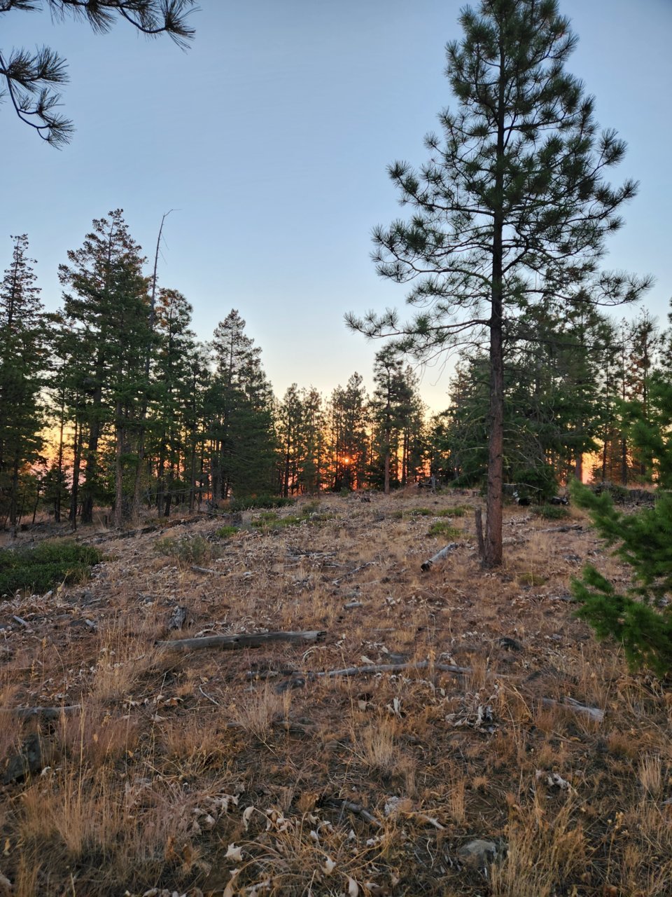 20221016_072558.jpg