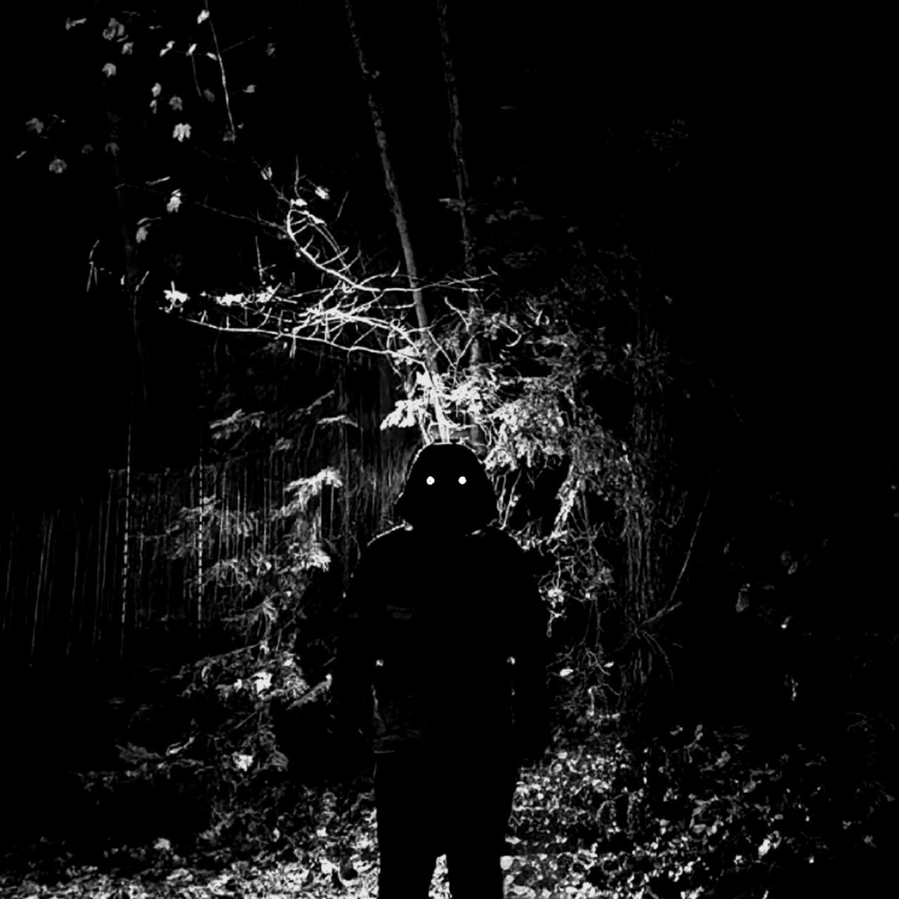20221016_193013.jpg