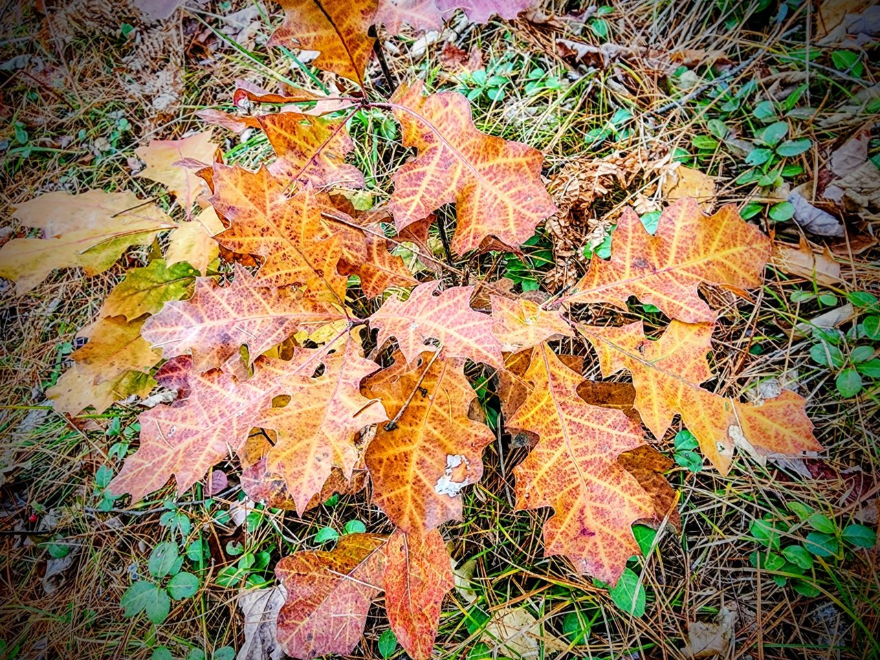 20221026_171106~2.jpg
