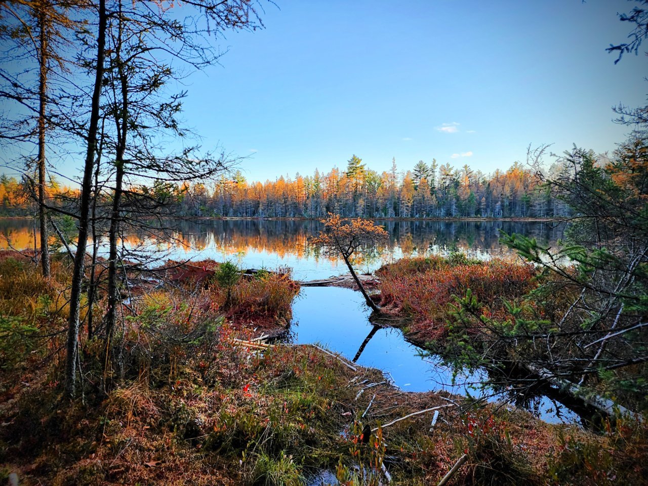 20221026_171235~2.jpg