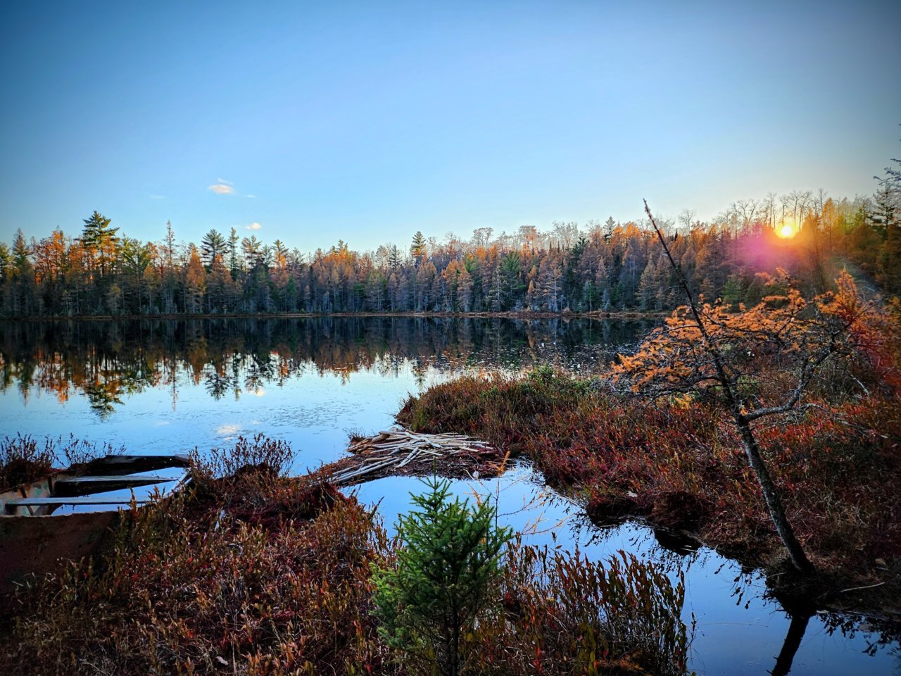 20221026_171301~2.jpg