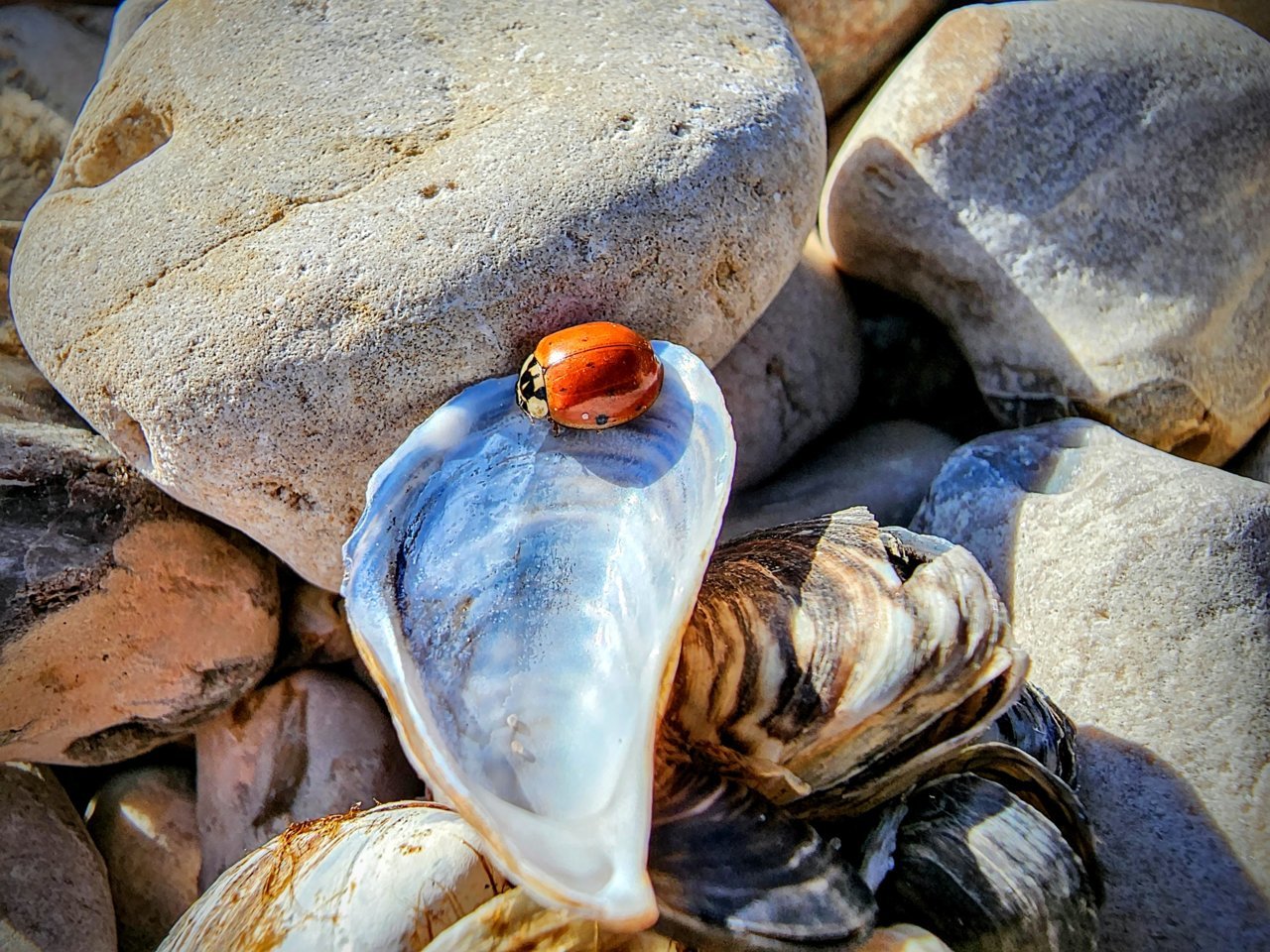 20221102_114647~2.jpg