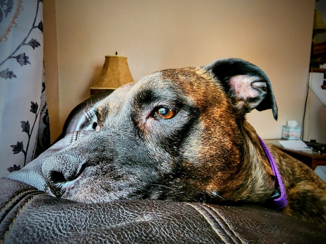 20221213_084840~2.jpg