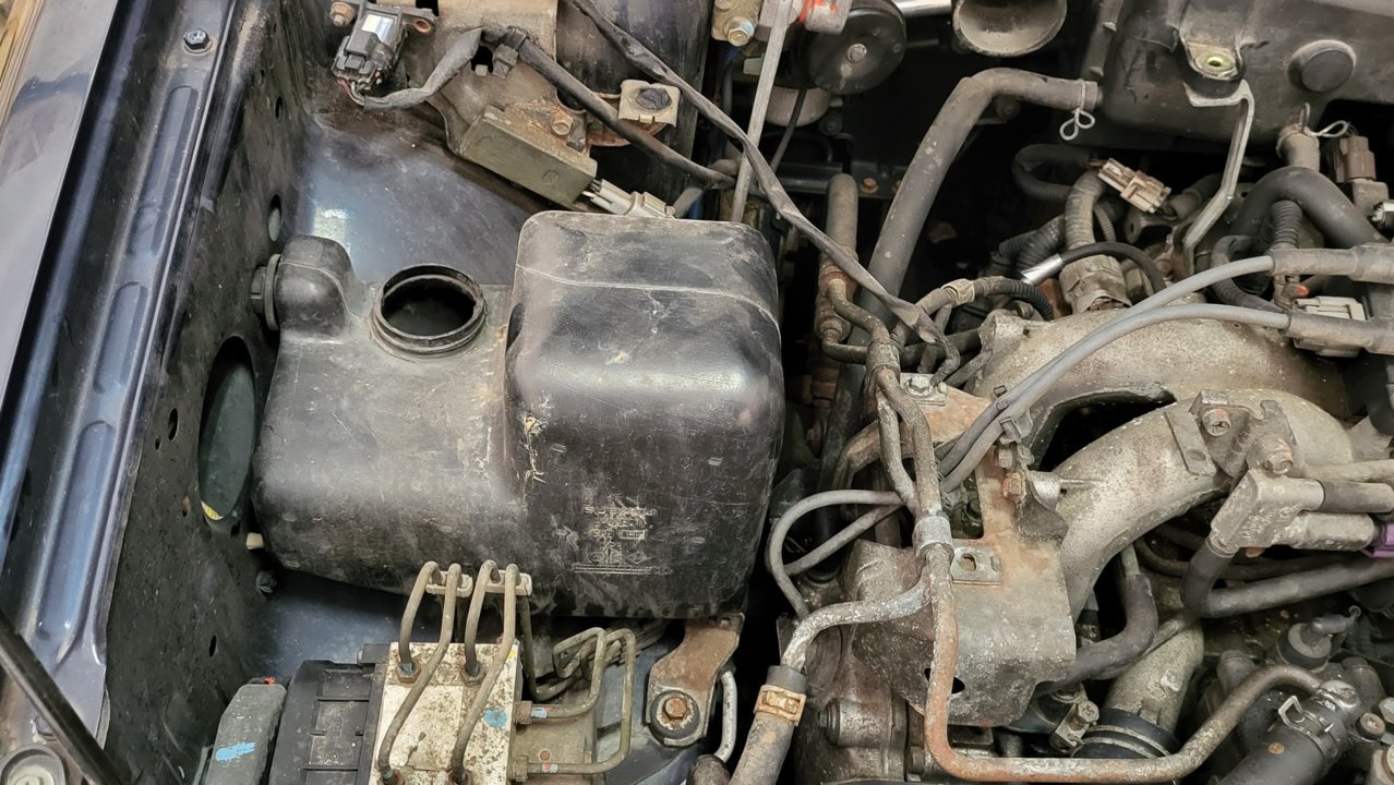 20221219_100630.jpg