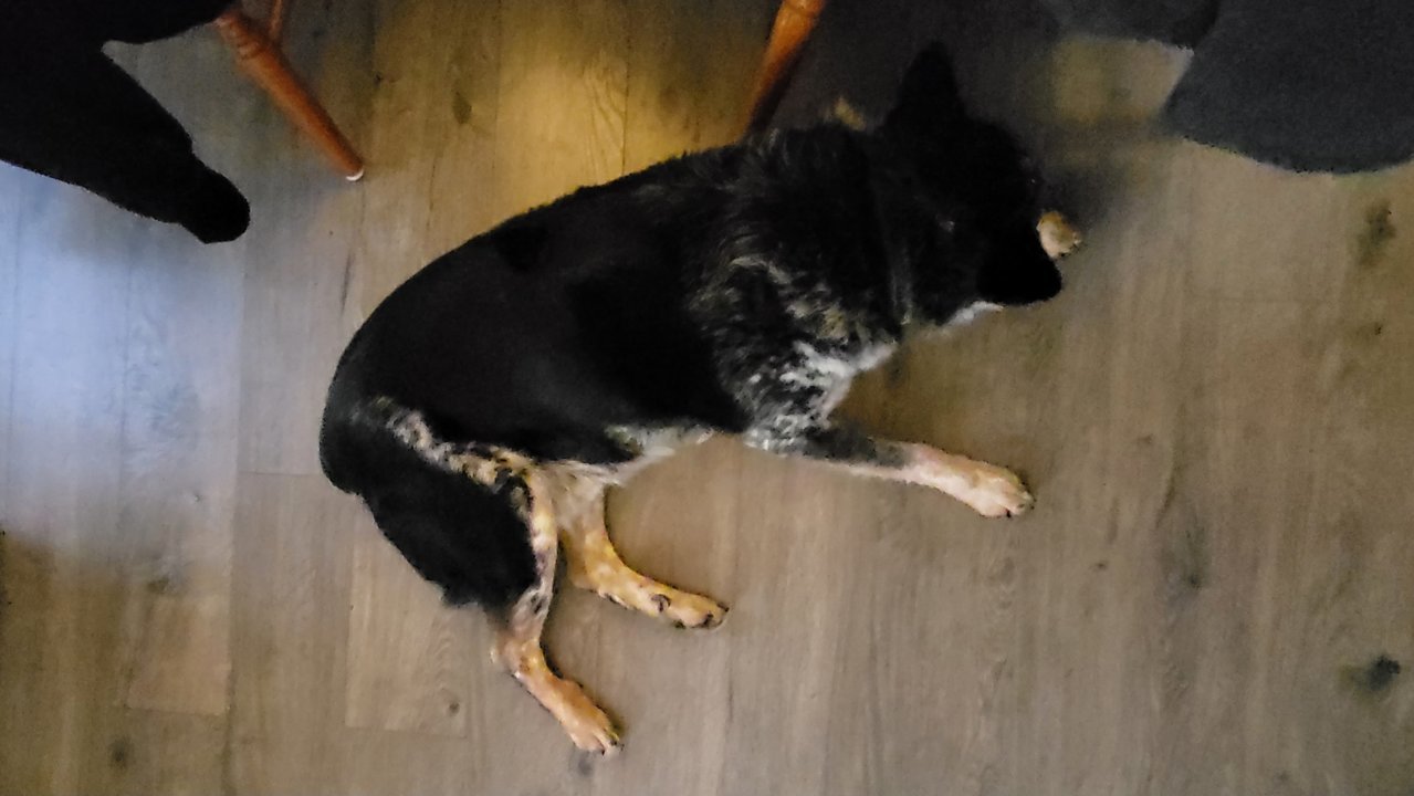 20221224_101427.jpg