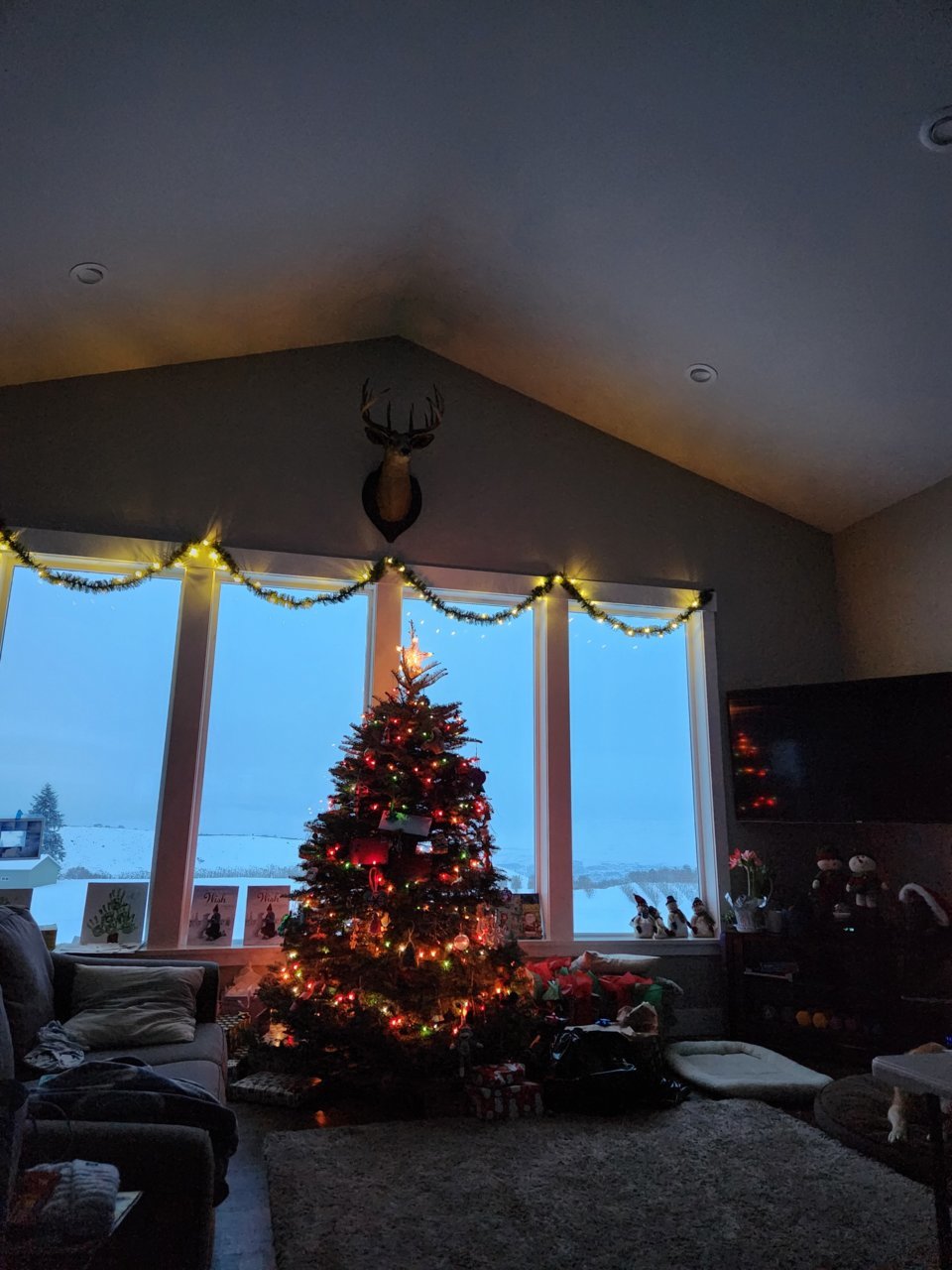 20221225_073946.jpg