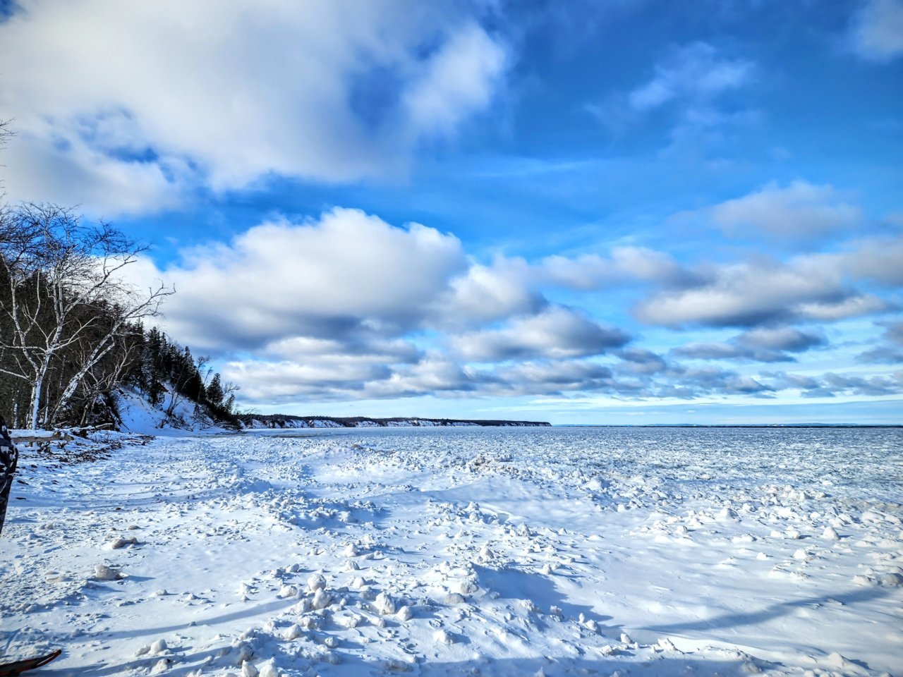 20221226_115306~2.jpg