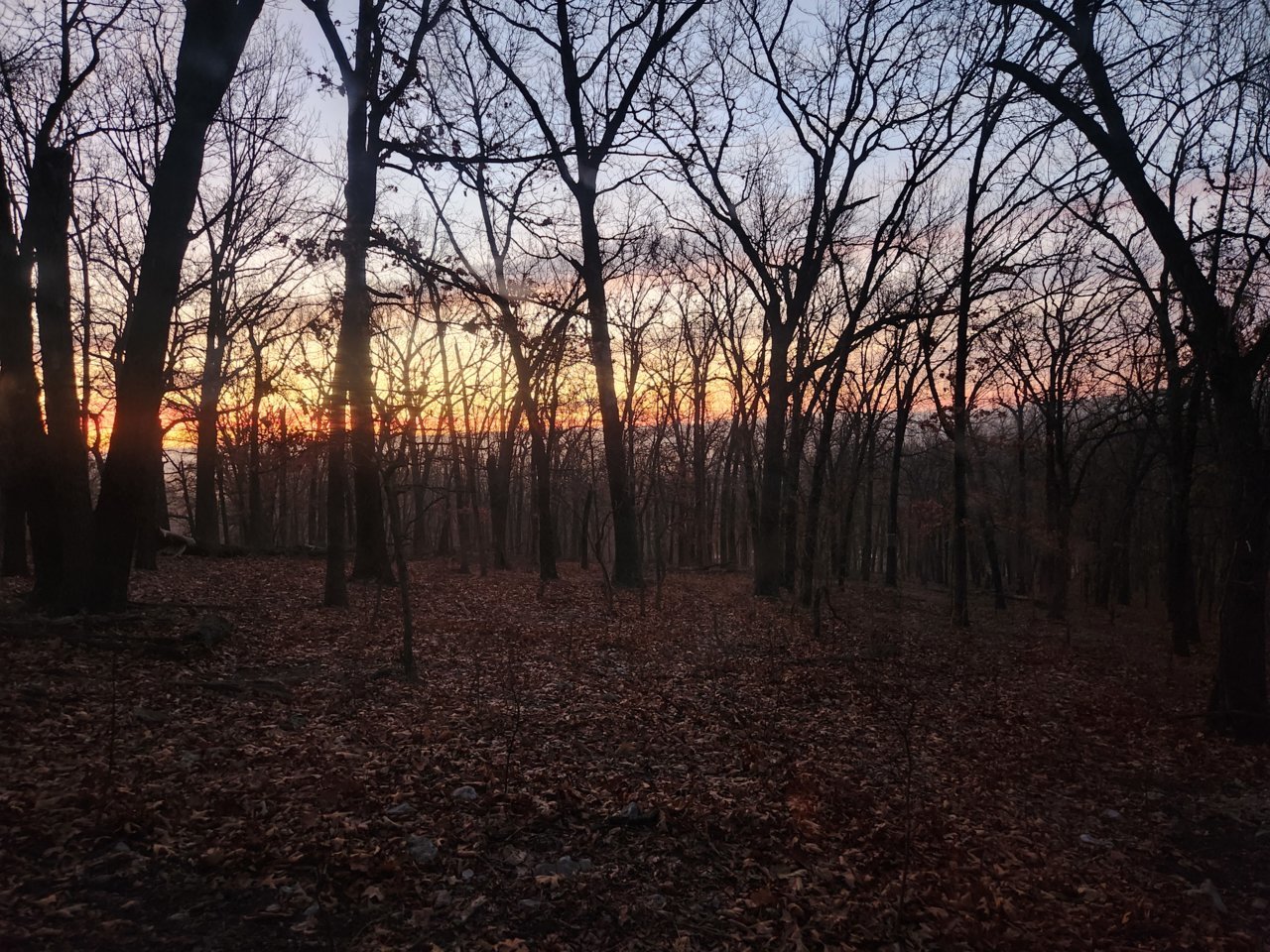 20230101_070913.jpg