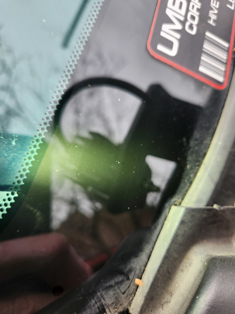 20230105_113337.jpg