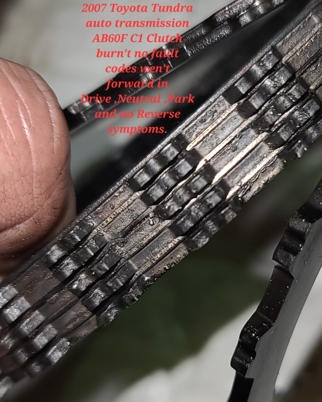 20230110_191152.jpg