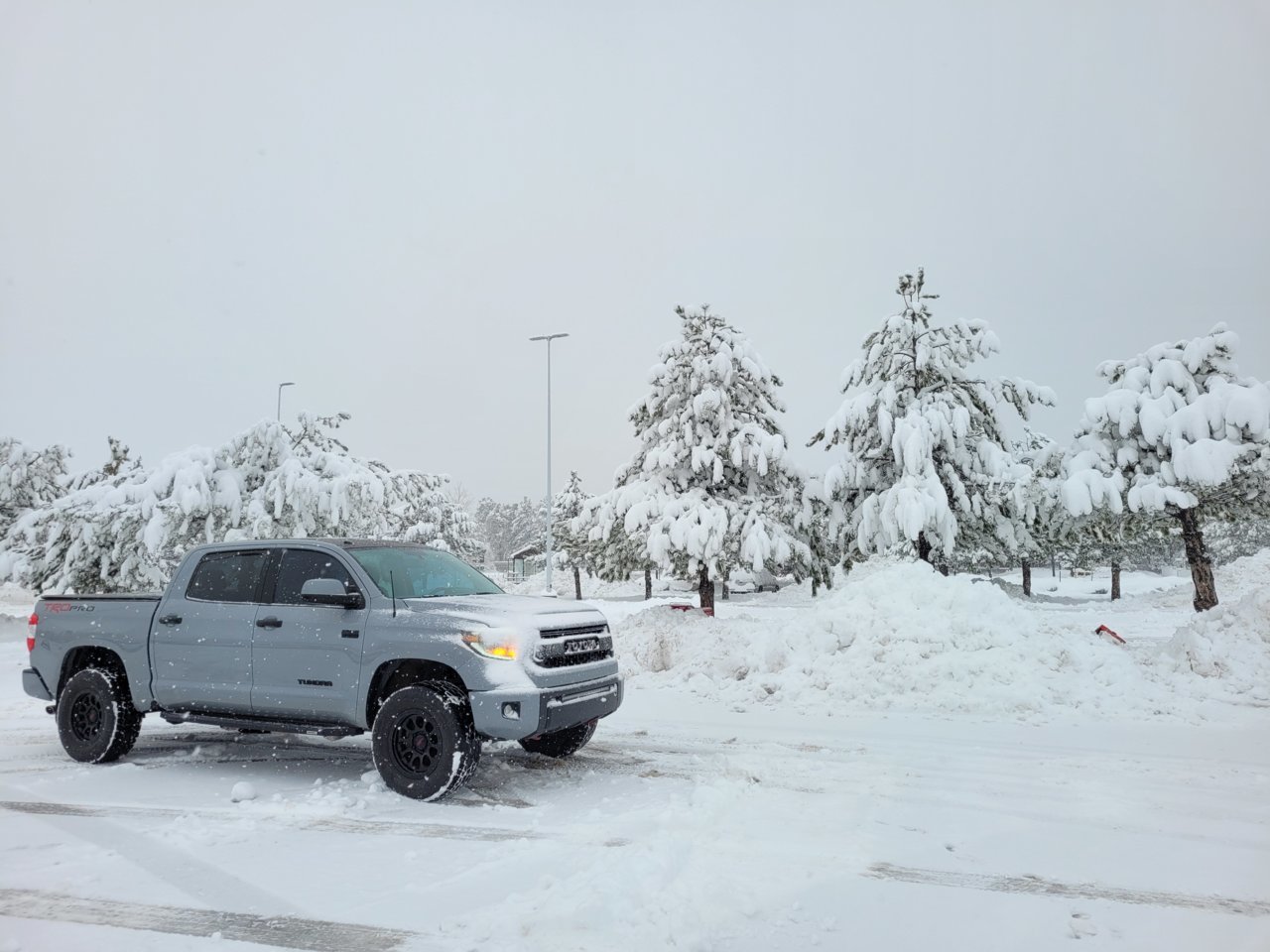 20230115_092959.jpg