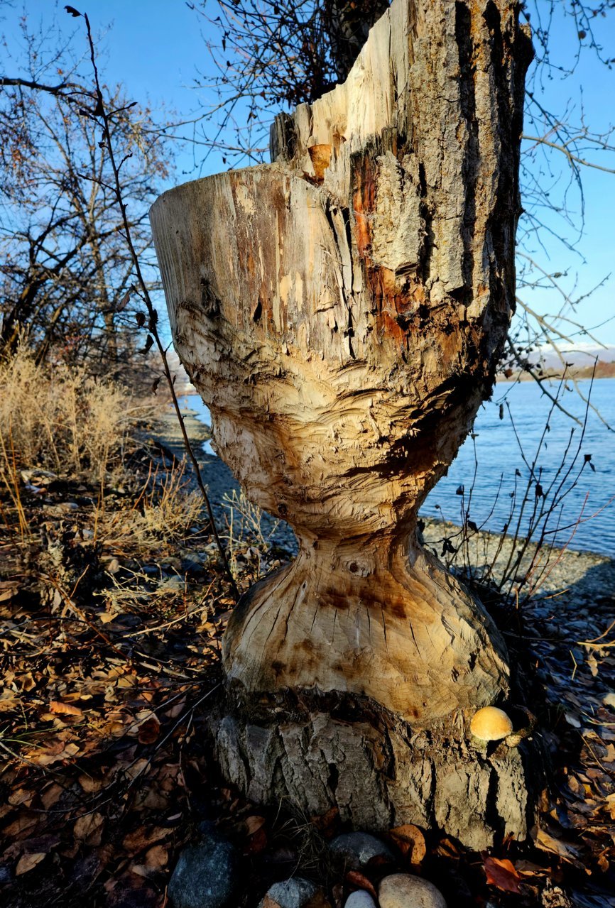 20230119_133811.jpg