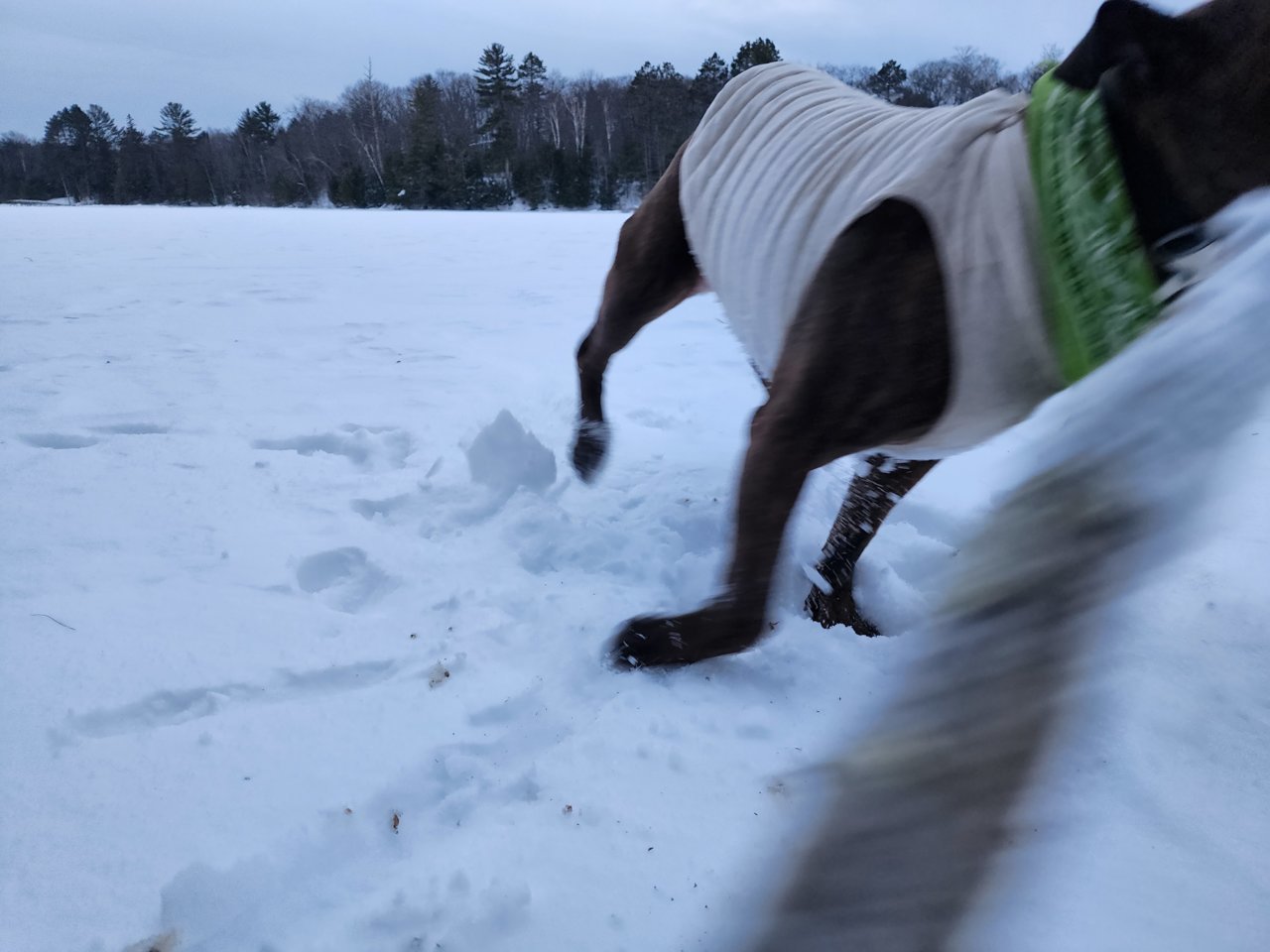 20230206_170741.jpg