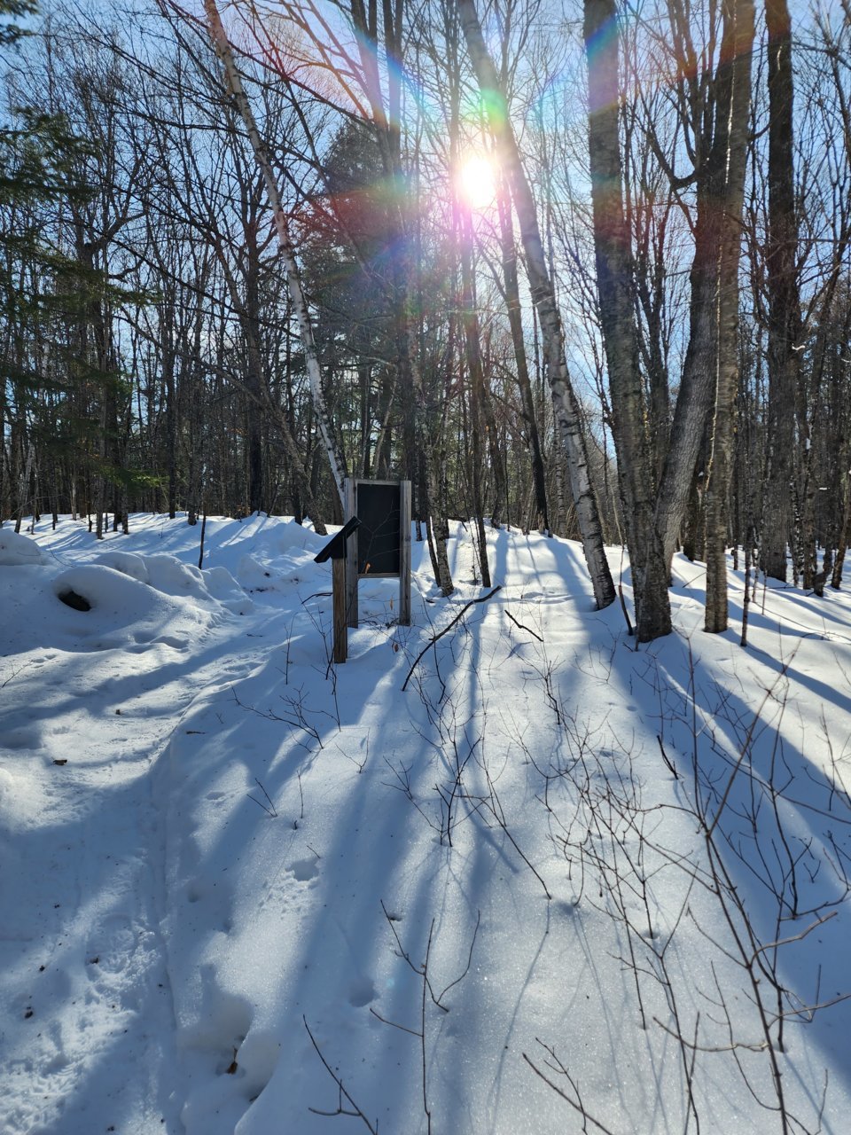 20230211_140303.jpg