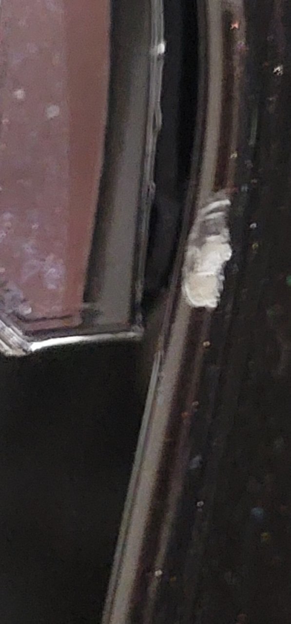 20230218_095553.jpg