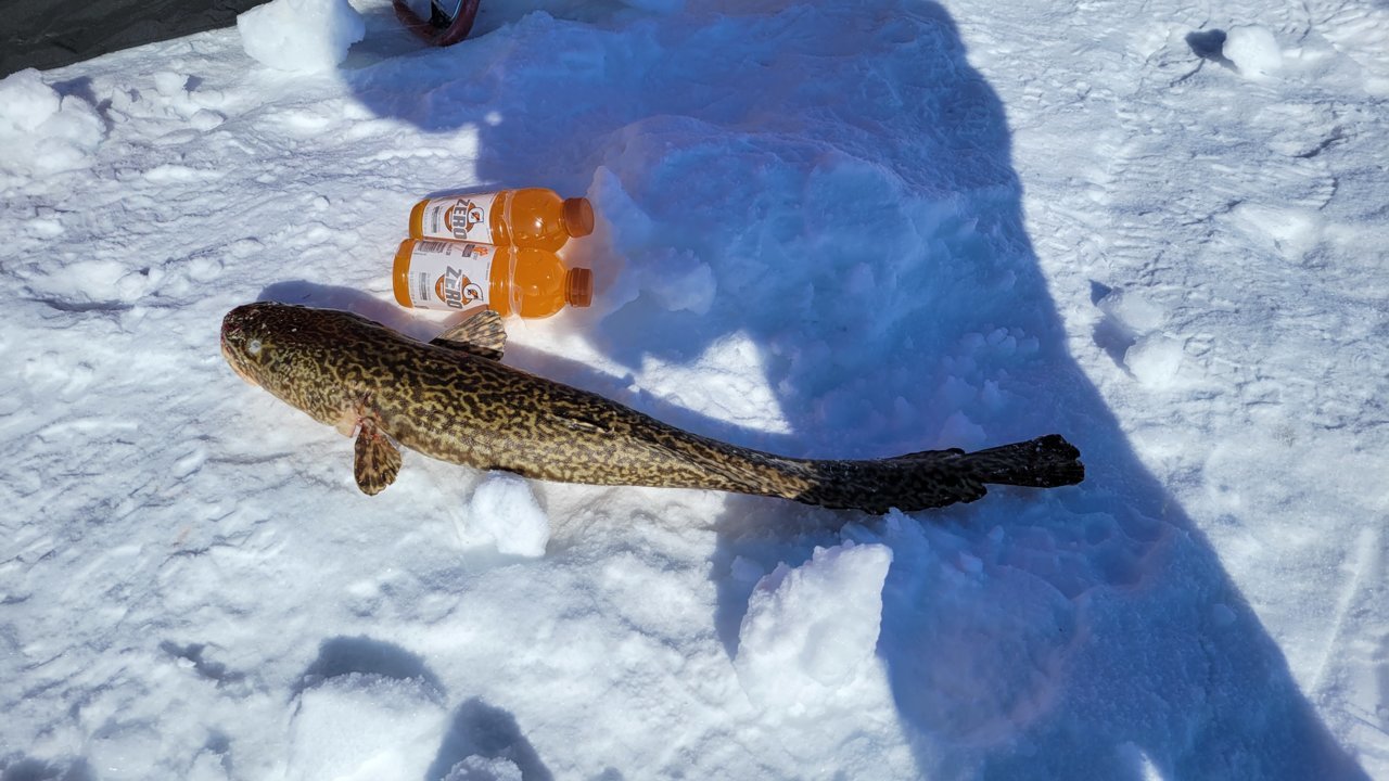20230218_103013.jpg