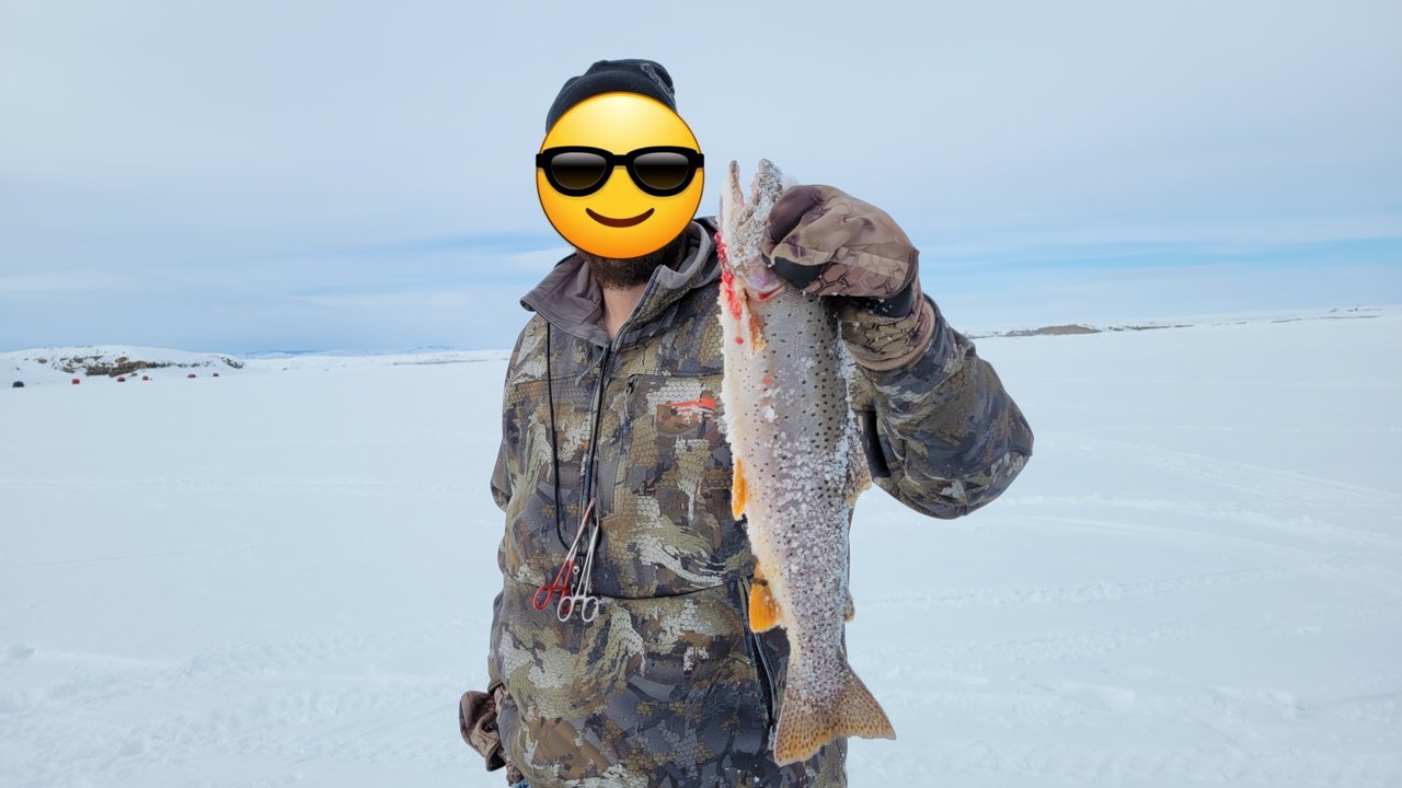 20230219_155646.jpg