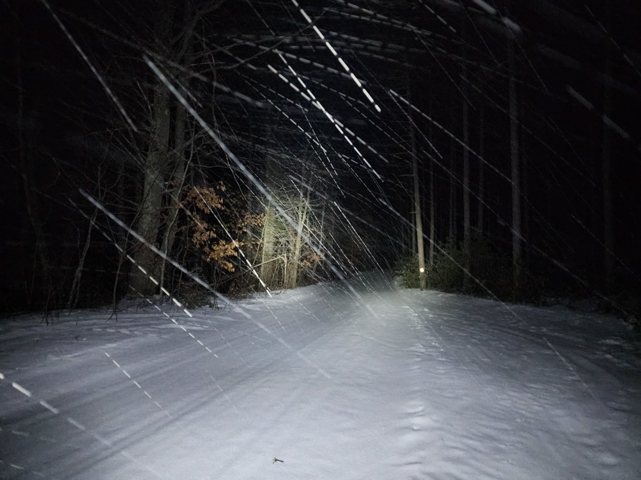 20230220_181650.jpg