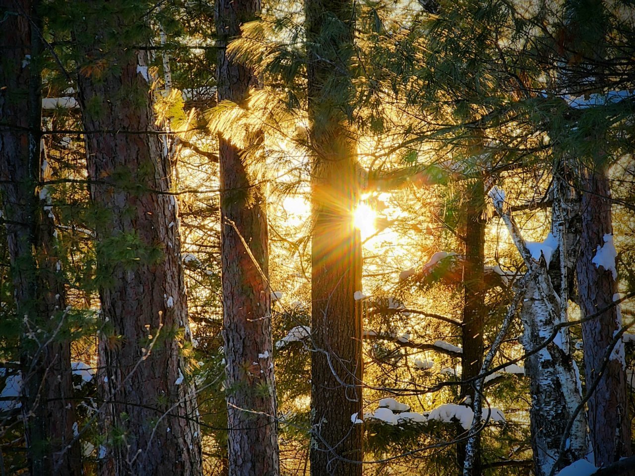20230225_165736~2.jpg