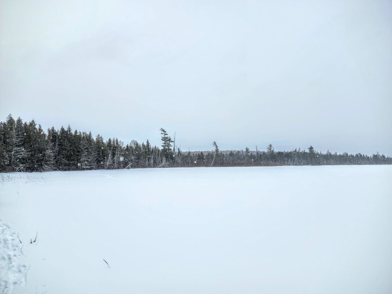20230310_073331.jpg