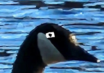 20230314_181110~3.jpg