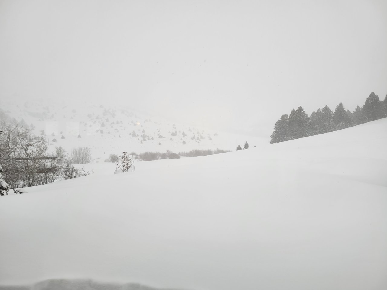 20230325_082719.jpg