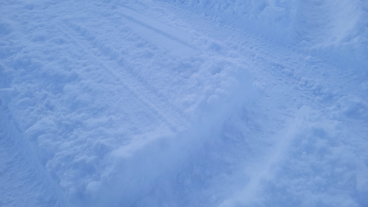 20230404_191352.jpg