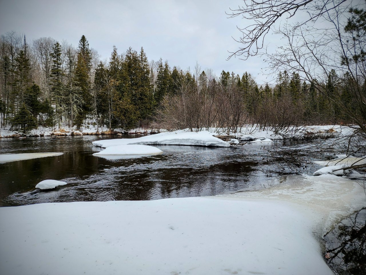 20230408_110749~2.jpg