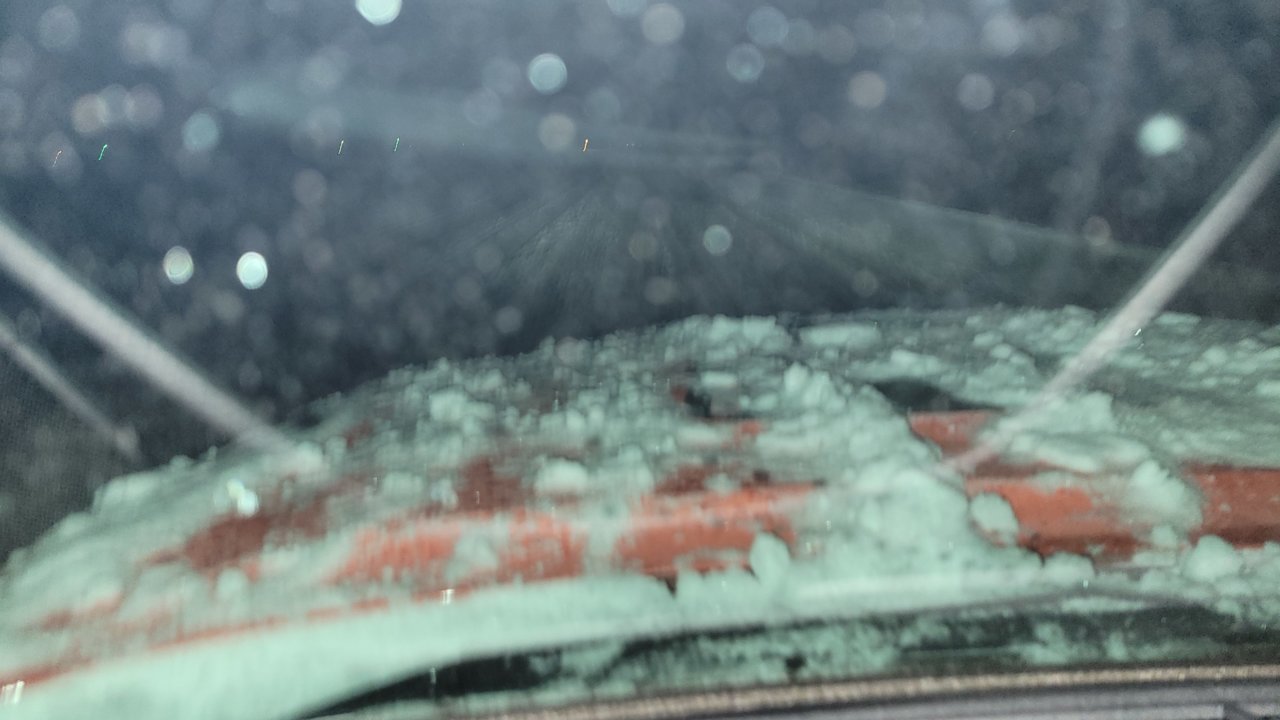20230425_053713.jpg