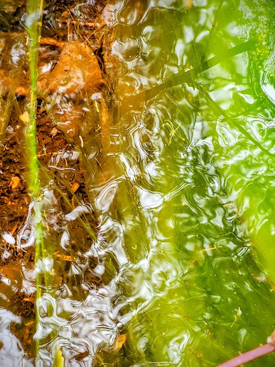 20230427_121625~2.jpg