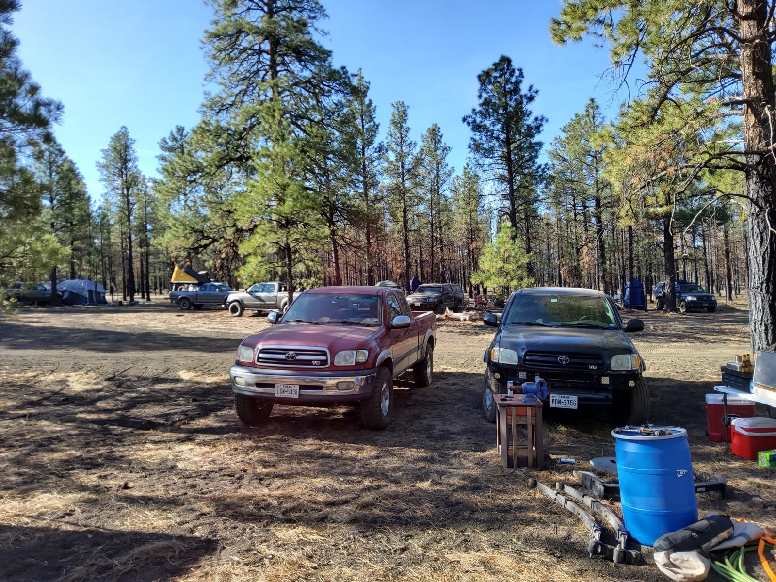 20230428_080636.jpg