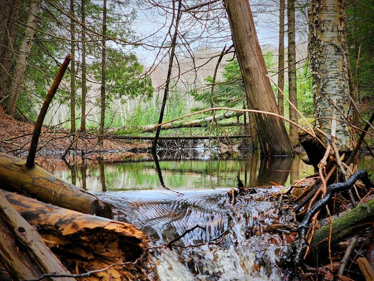 20230510_101558~2.jpg