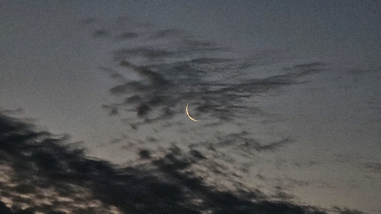 20230517_051447.jpg