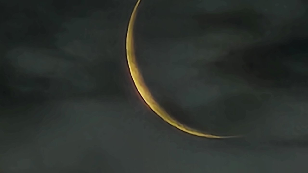20230517_051456.jpg