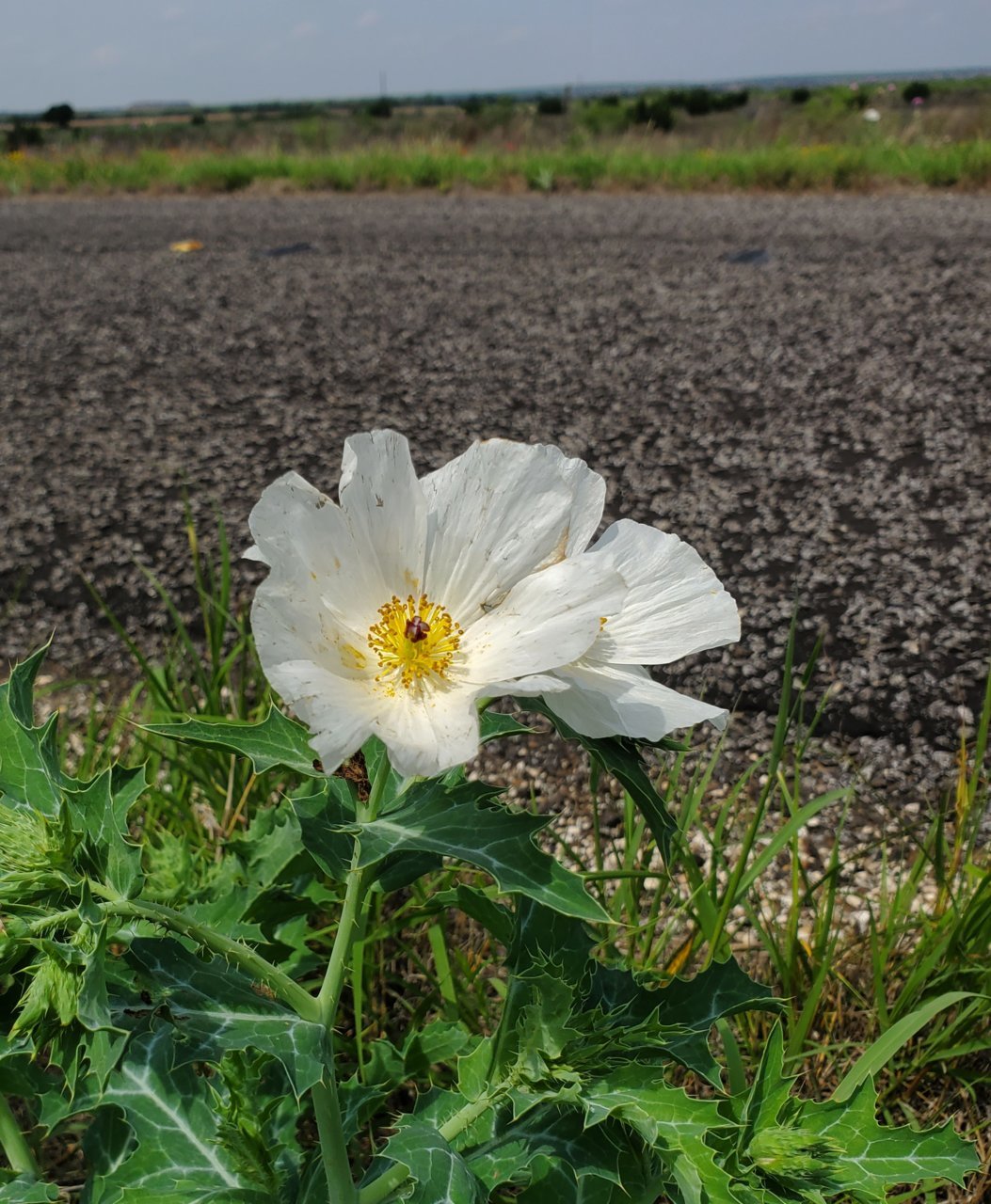 20230528_113523.jpg