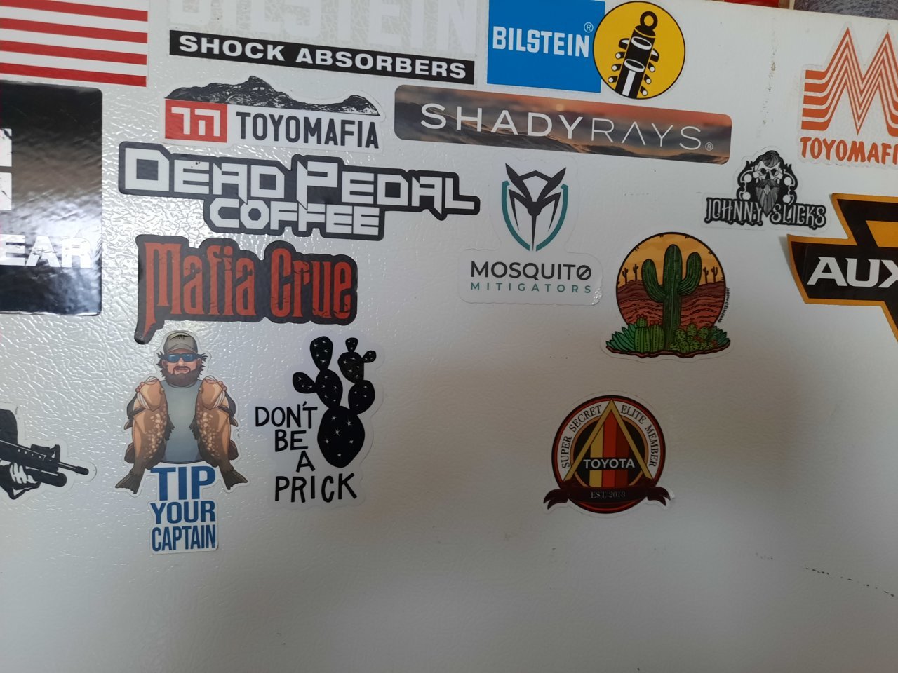 20230605_173248.jpg