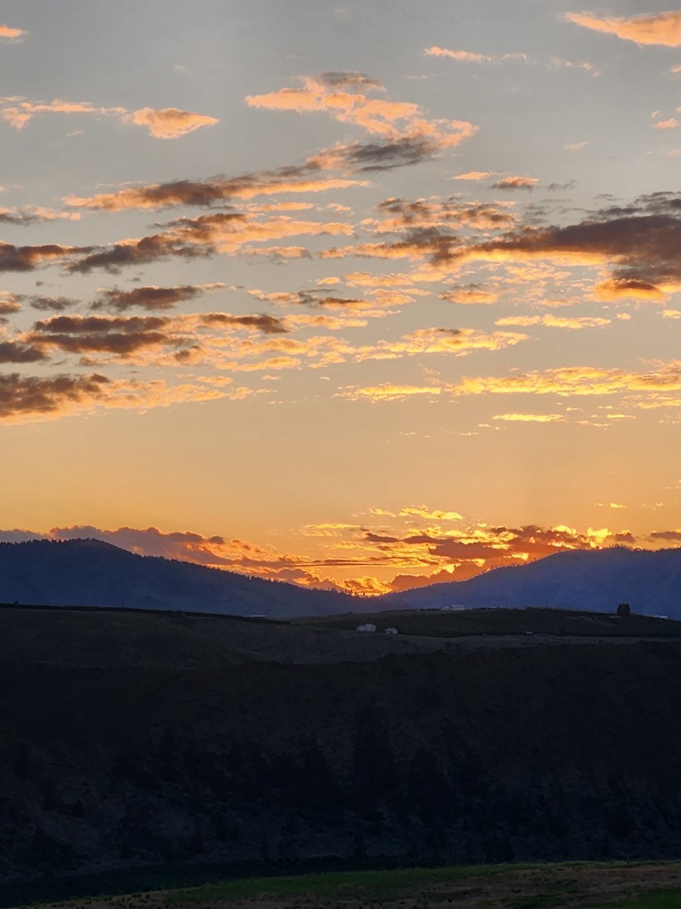 20230611_204649.jpg