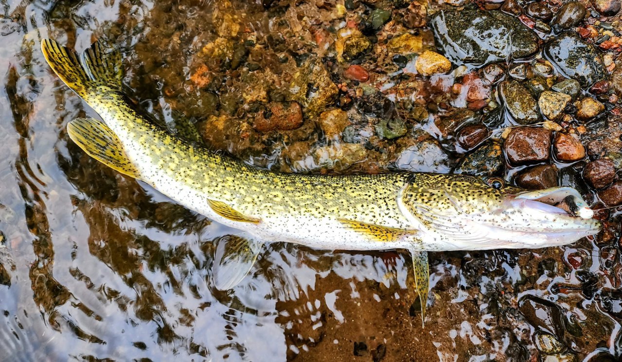 20230613_144716~2.jpg