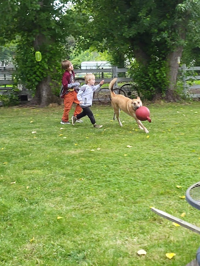 20230617_190939.jpg