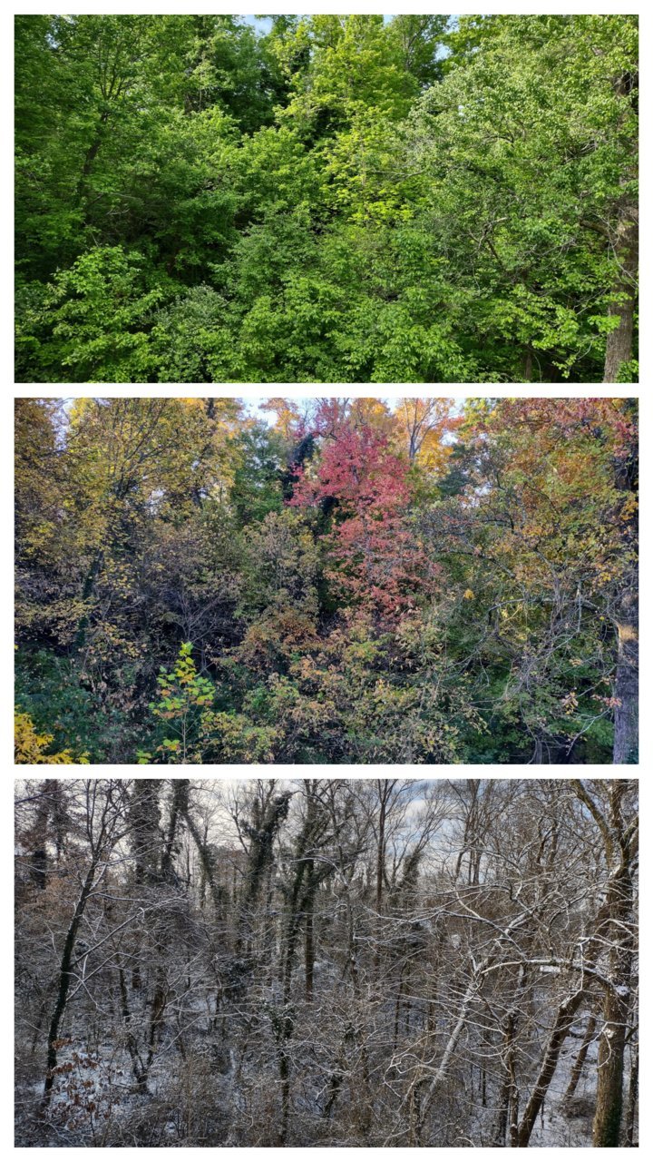 20230617_221907-COLLAGE.jpg