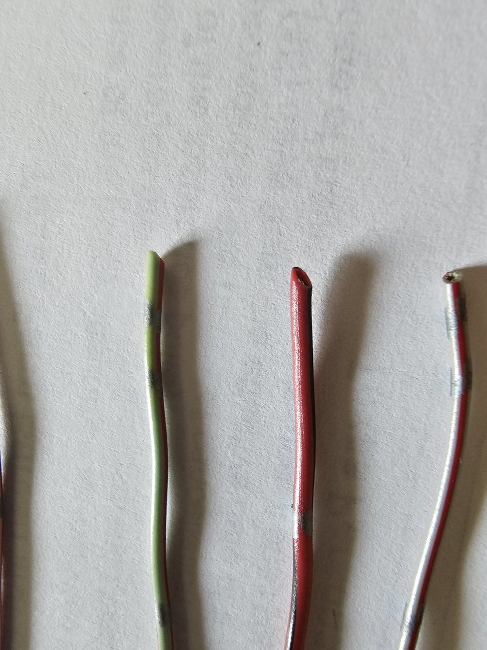 20230619_124509.jpg