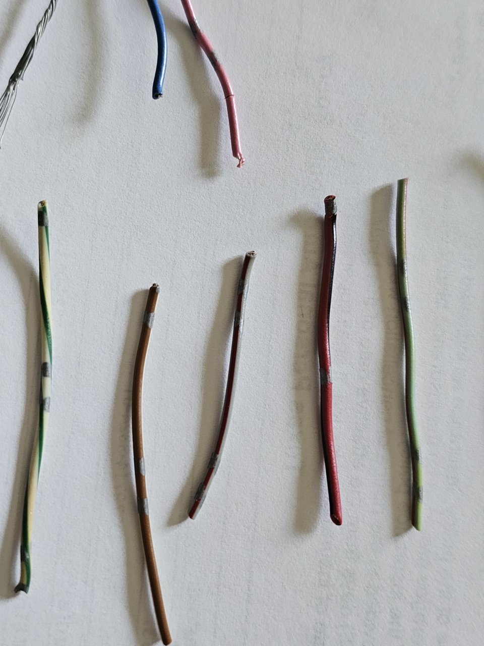 20230619_124539.jpg